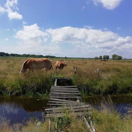 Dom Goscinny Ptaszarnia - Natura-Free Parking Swinoujscie Exterior photo
