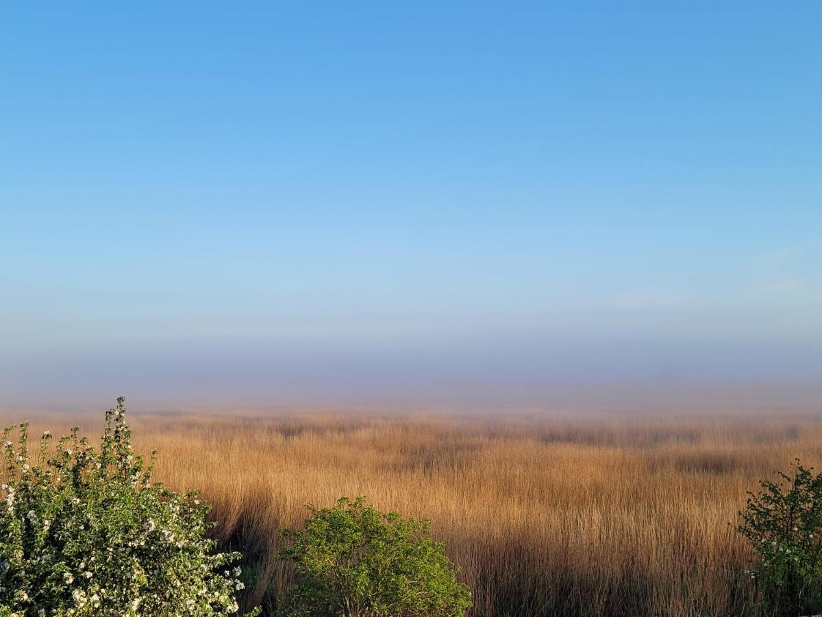 Dom Goscinny Ptaszarnia - Natura-Free Parking Swinoujscie Exterior photo